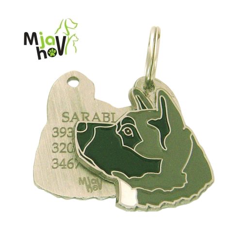 adresówki dla psów-akita-amerykańska-szary-grawerowane.jpg adresówki dla psów, grawerowane adresówki dla psów, adresówki dla psów rasowych MjavHov - Adresówki dla psów online